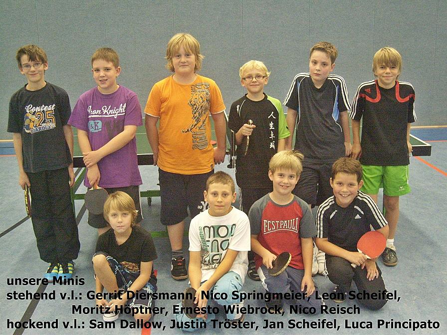 Minis_2011_12